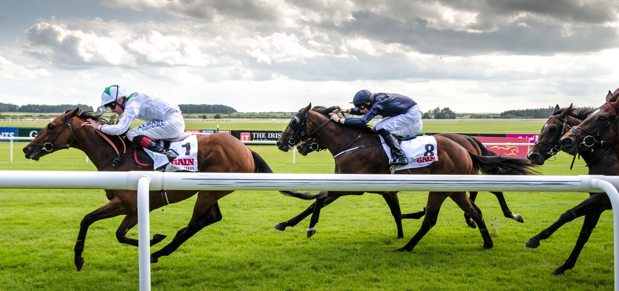 Une course hippique en Irlande -  Florian Christoph - cc
