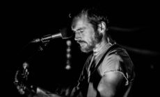 damien rice
