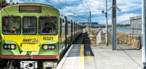 dart
