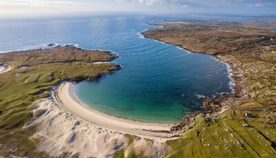 dogs bay 1