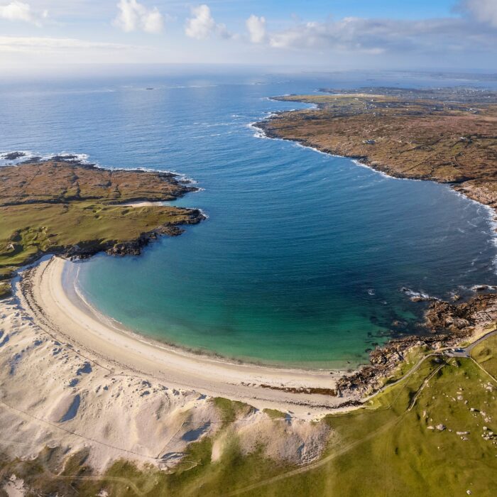dogs bay 1