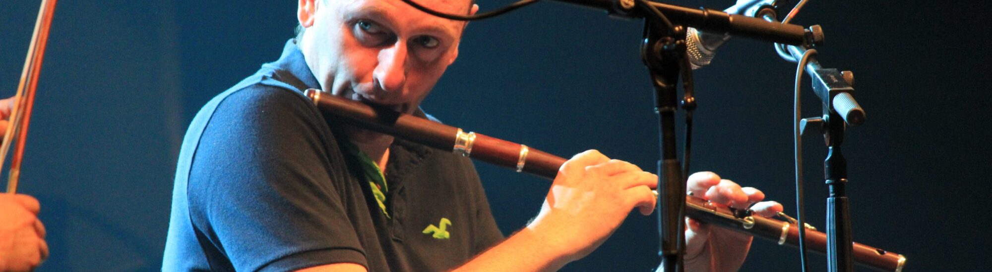 The Irish flute