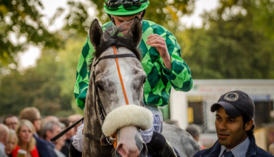 Leopardstown Christmas Festival