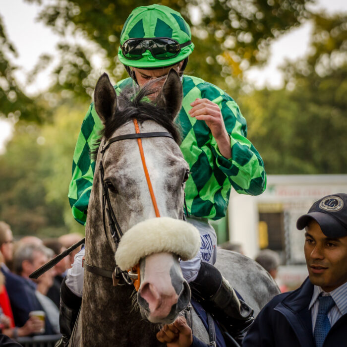 Un cavalier et son cheval à Leopardstown - Florian Christoph - cc
