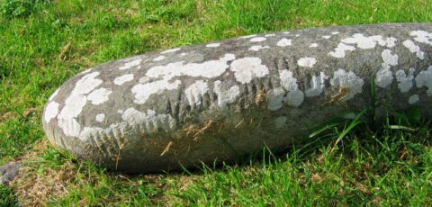 oghams scaled