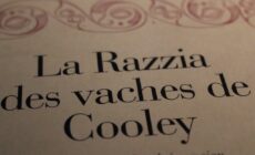 razzia vaches de cooley