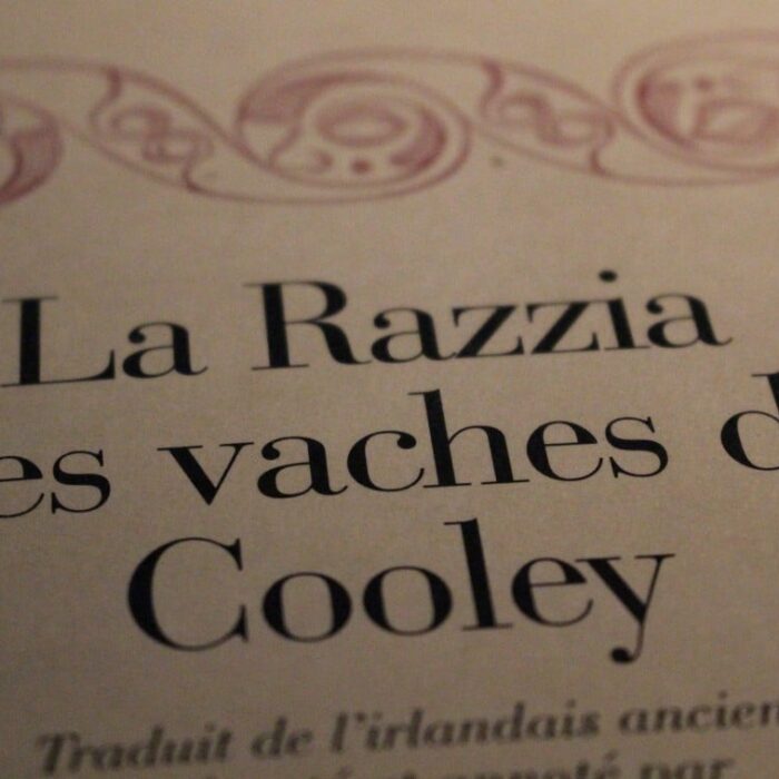razzia vaches de cooley