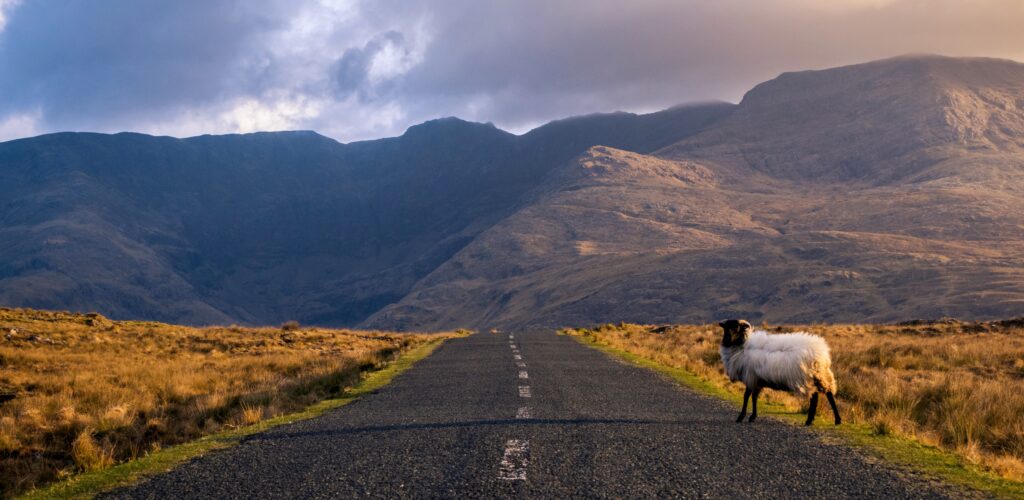 5 reasons to discover Ireland in autumn!