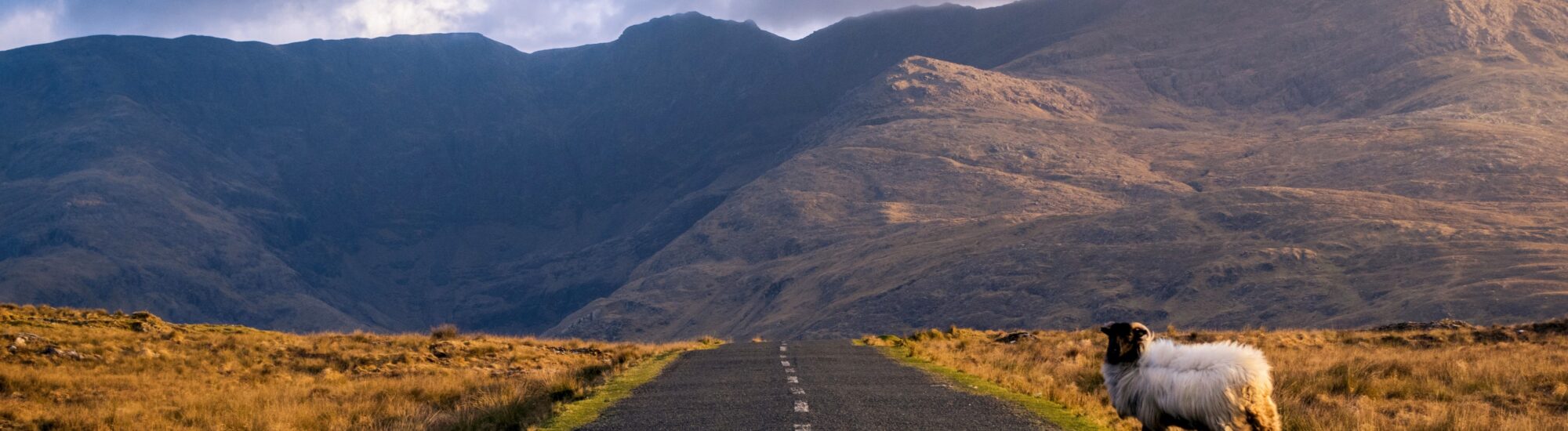 Rent a car in Ireland