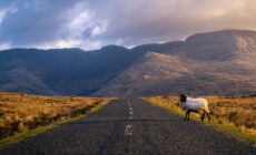 route connemara 1
