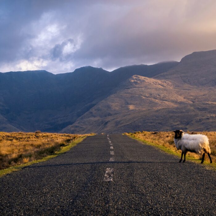 route connemara 1