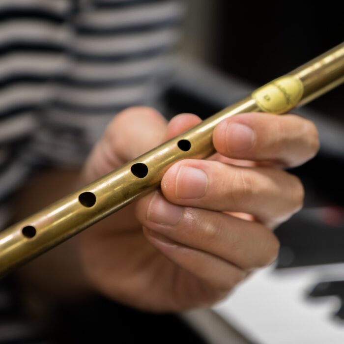 tin whistle 1
