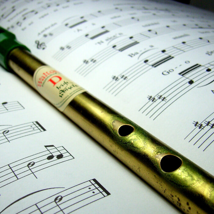 tin whistle