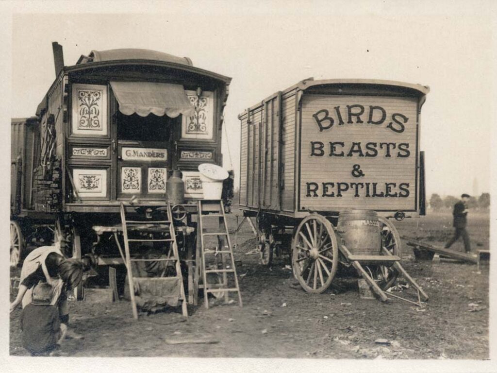 travellers