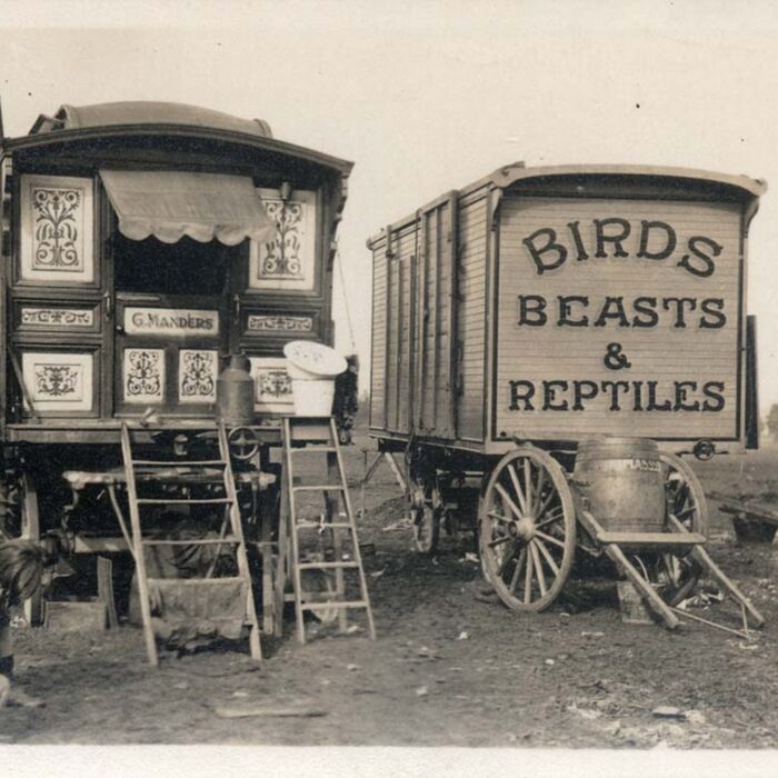 travellers