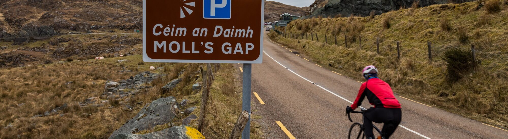 Cycling tours in Ireland