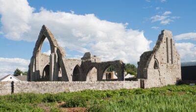 castledermot abbey