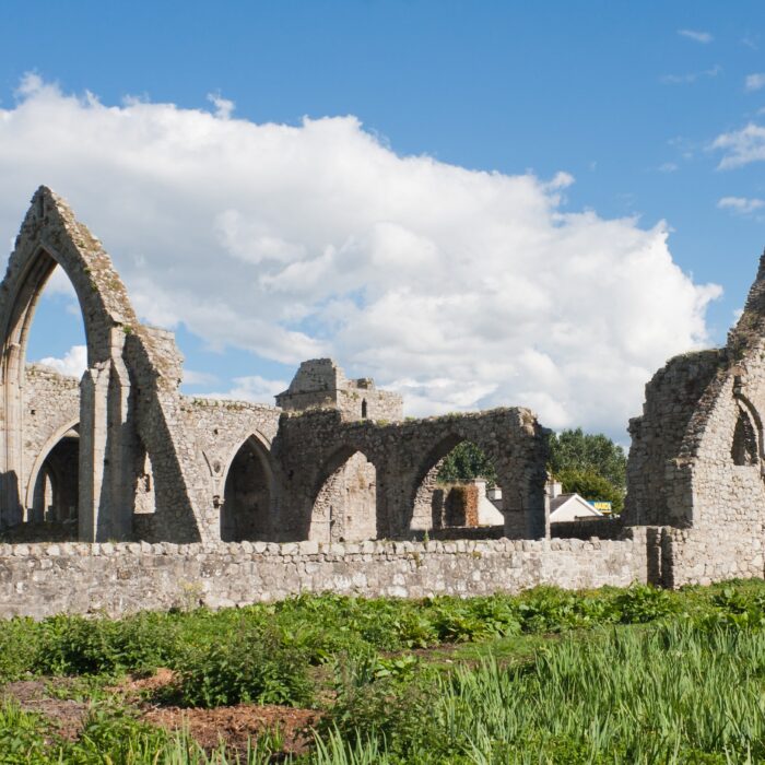 castledermot abbey