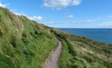ballycotton cliff walk 1