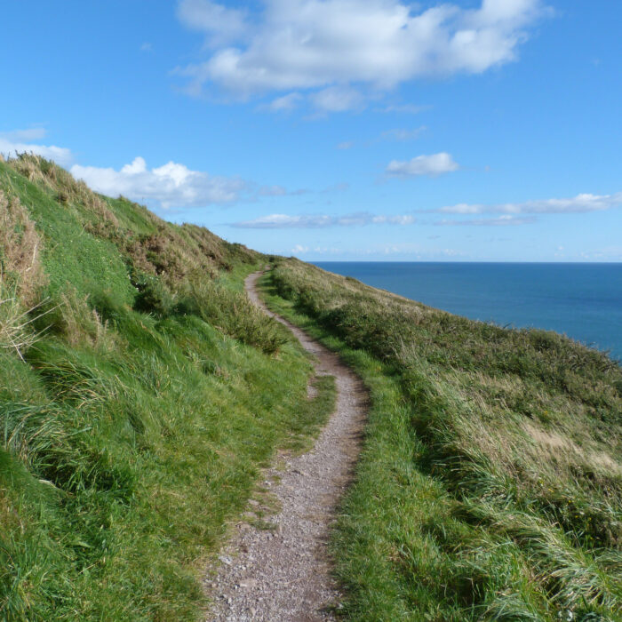 ballycotton cliff walk 1