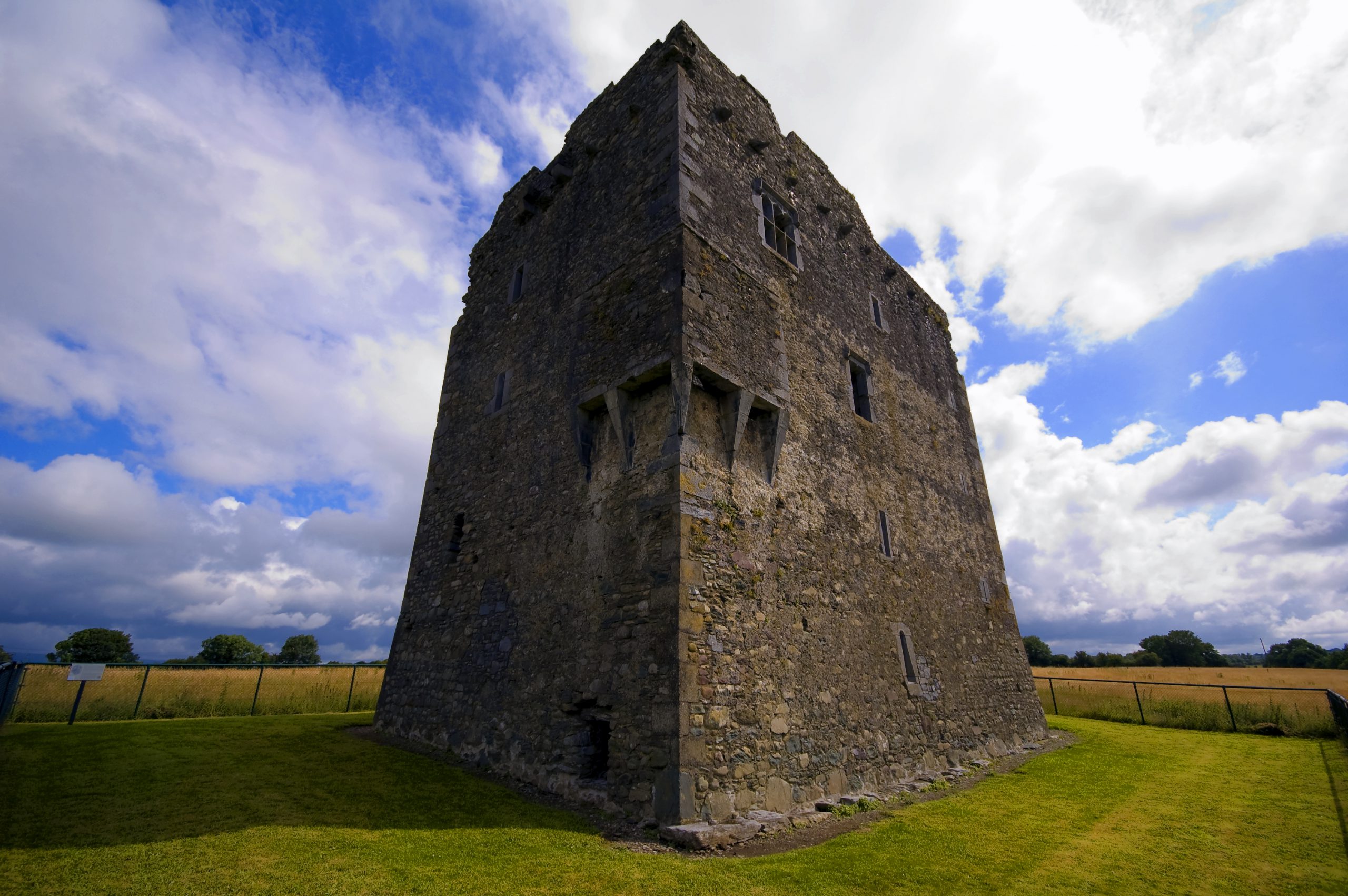 Le Ballymalis Castle -  Shane Laake 