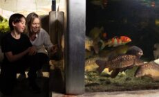galway atlantaquaria