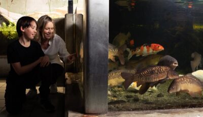 galway atlantaquaria