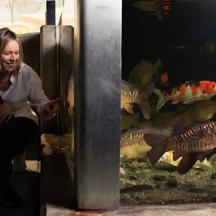galway atlantaquaria