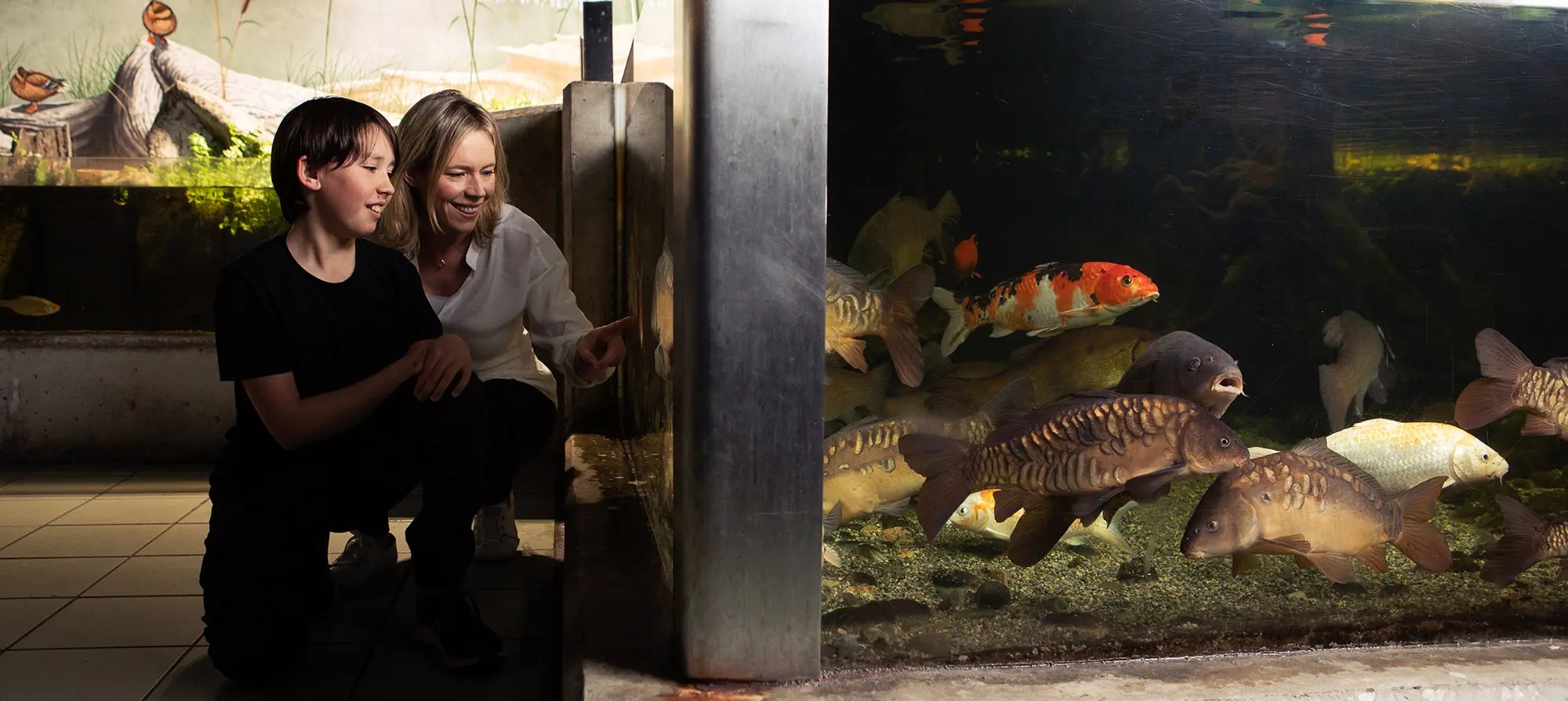 Galway Atlantaquaria - https://nationalaquarium.ie/