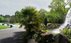 iveagh gardens 1