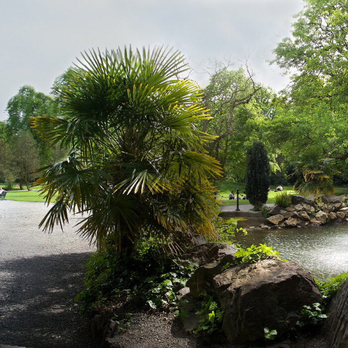 iveagh gardens 1