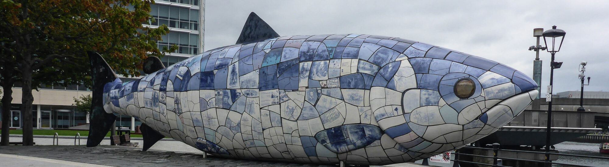 Belfast’s Big Fish