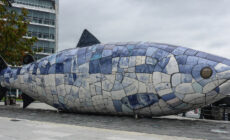 big fish