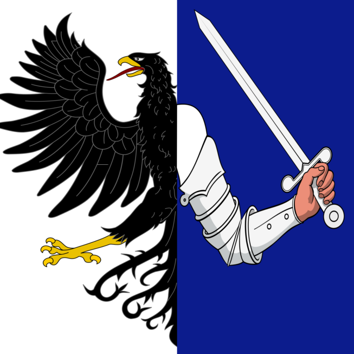 drapeau connacht