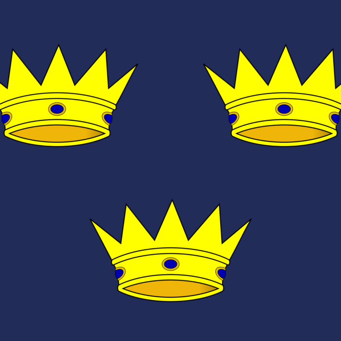 drapeau munster