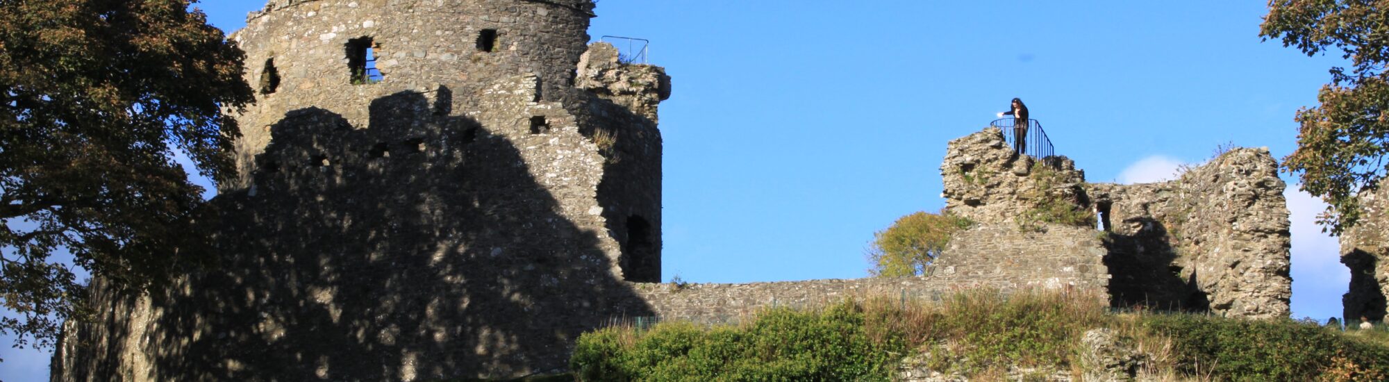 Dundrum Castle