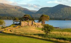 mccarthys castle