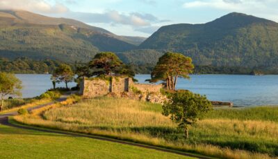 mccarthys castle