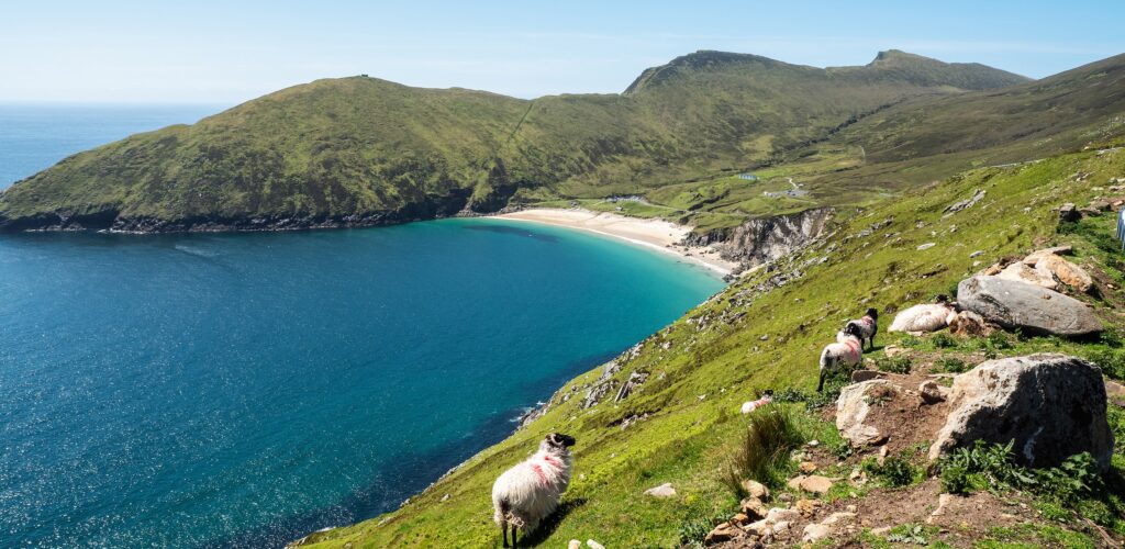 Keem Beach, named best wilderness swimming spot in Ireland!