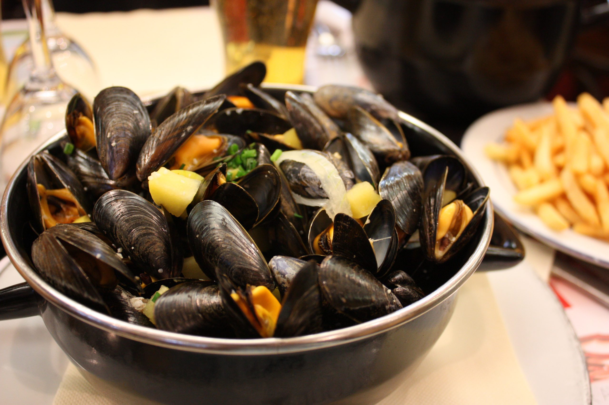 Des moules au cidre irlandais - Michal Sänger - cc