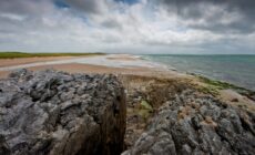 banna strand 1 scaled