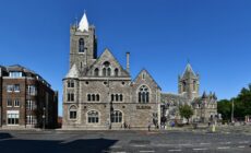 dublinia