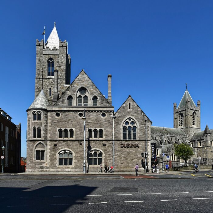 dublinia