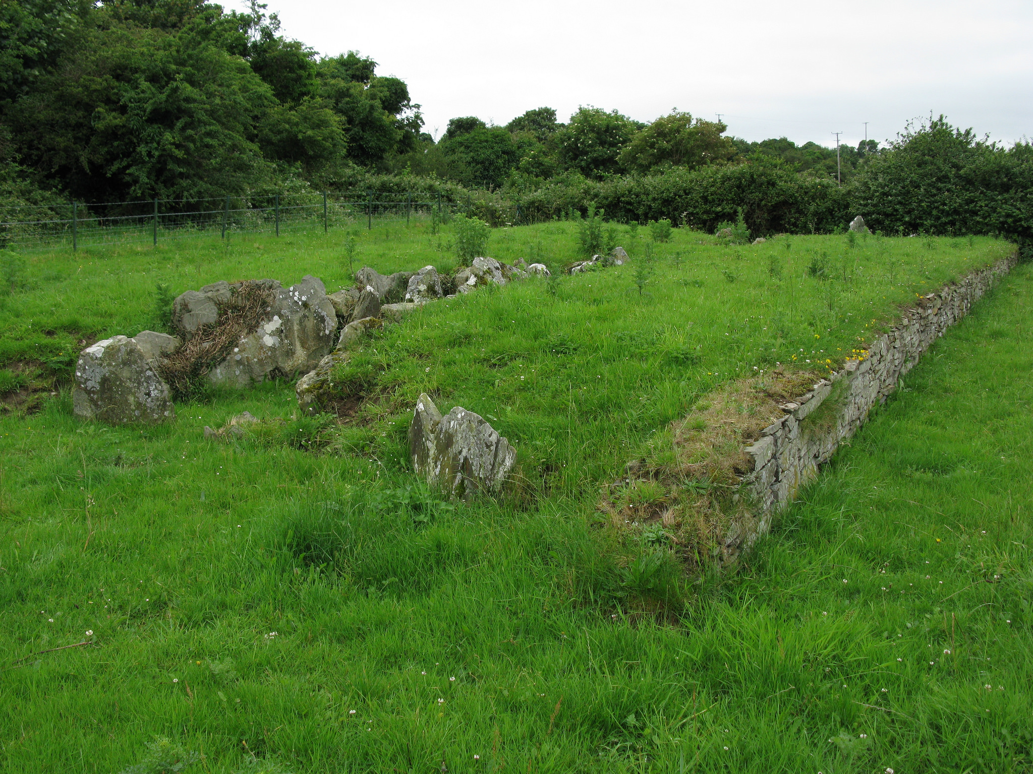 Audleystown Cour Cairn - Ray Hunt
