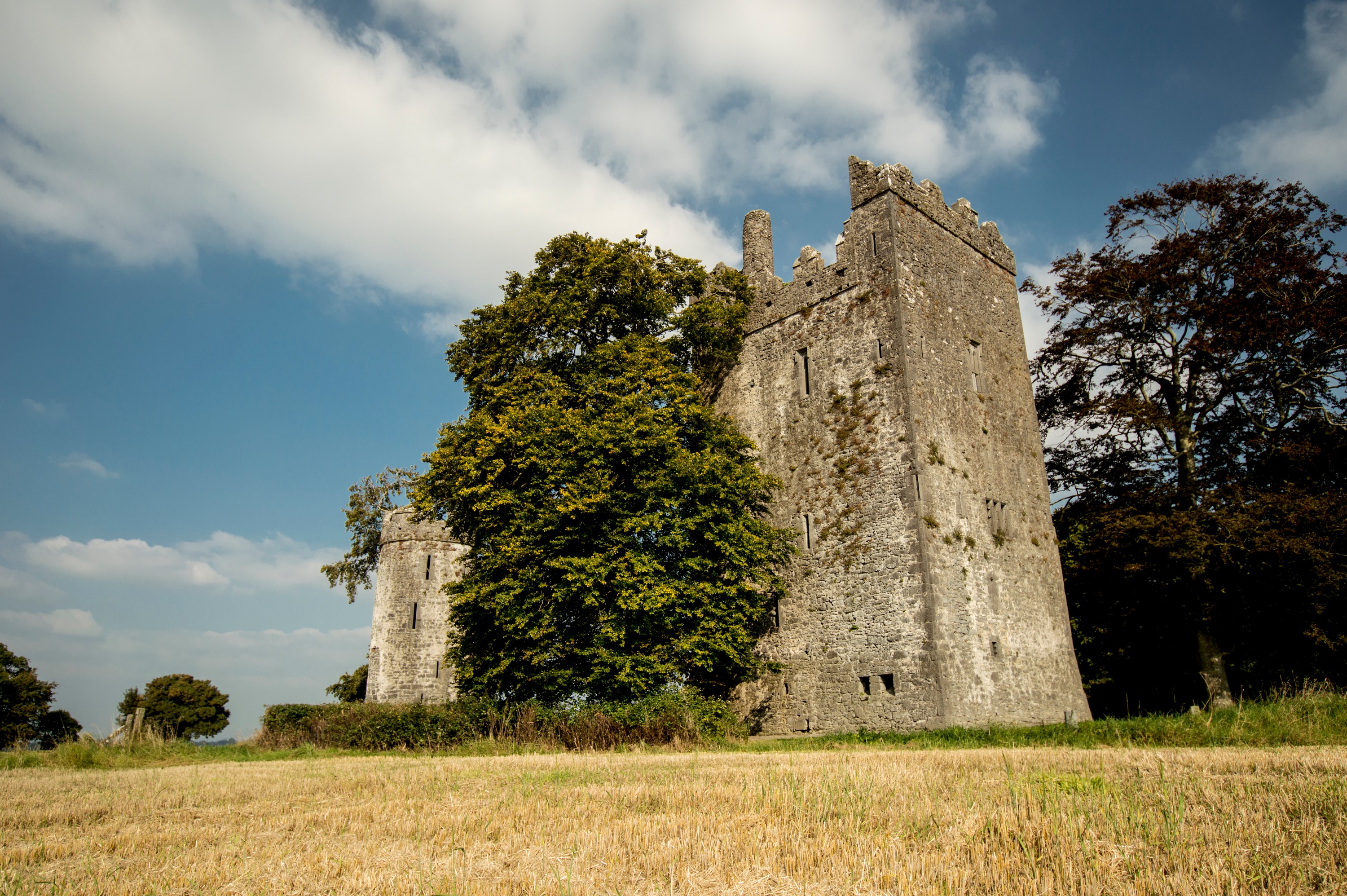 Le Burnchurch Castle - Simonak – cc