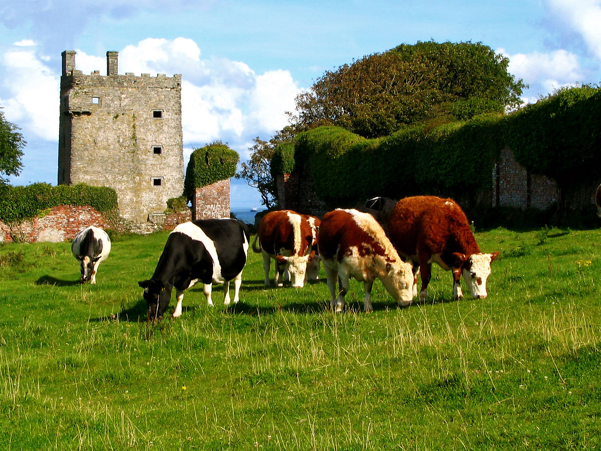 Le Carrigaholt Castle - <a href=