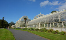 Glasnevin National Botanic Gardens - Simon - cc