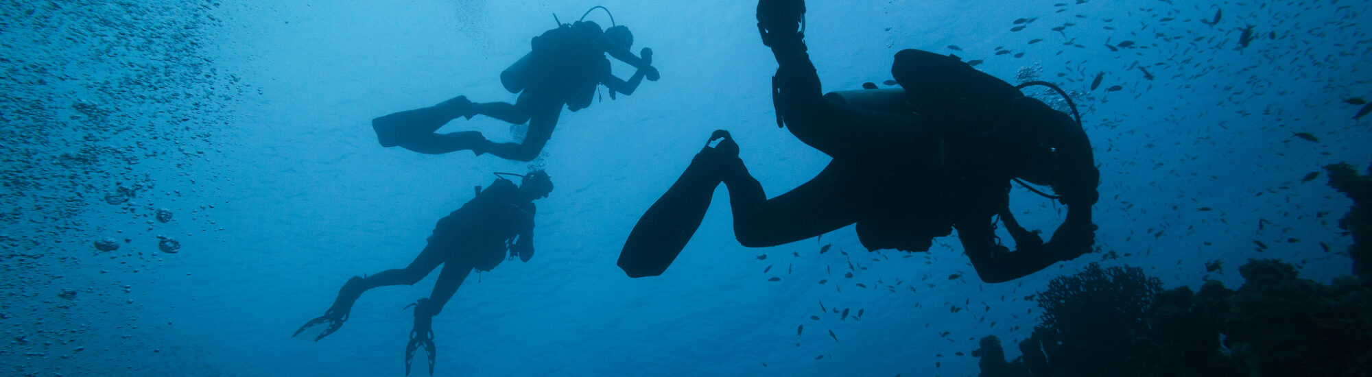Scuba diving in Ireland