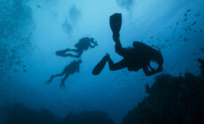 plongee sous marine 1