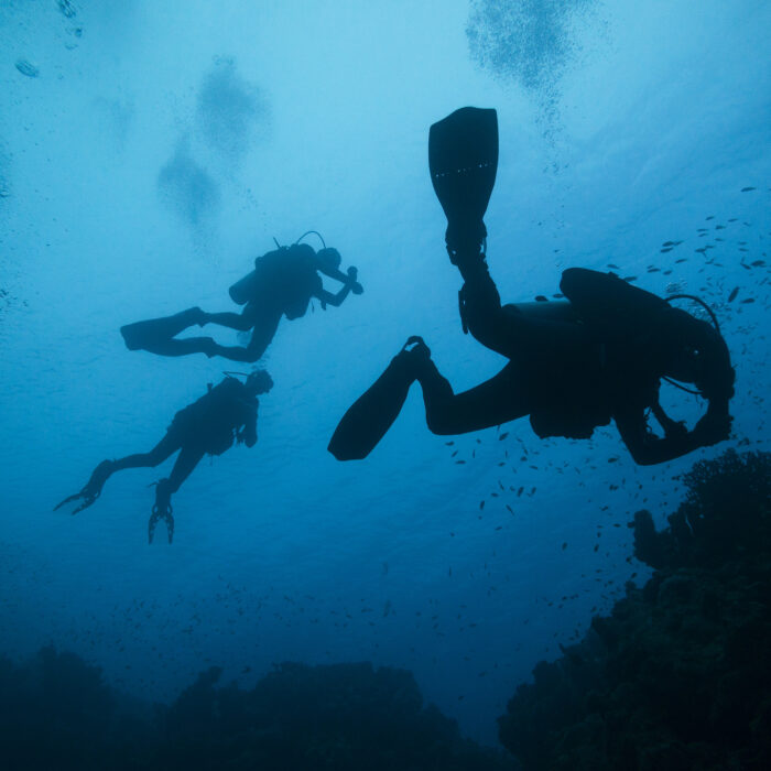 plongee sous marine 1